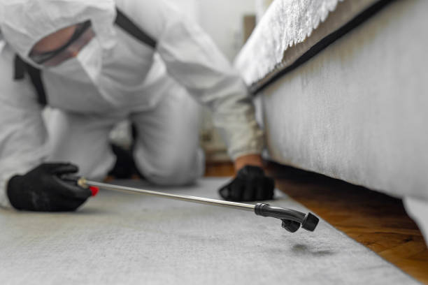 Professional Fumigation Services technician working in Knoxville, IL