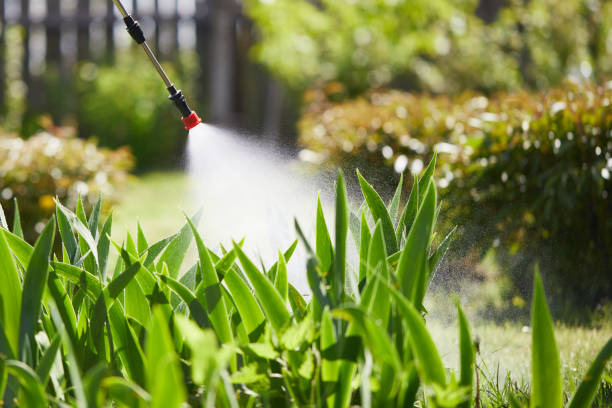 24/7 Emergency Fumigation Services experts in Knoxville, IL